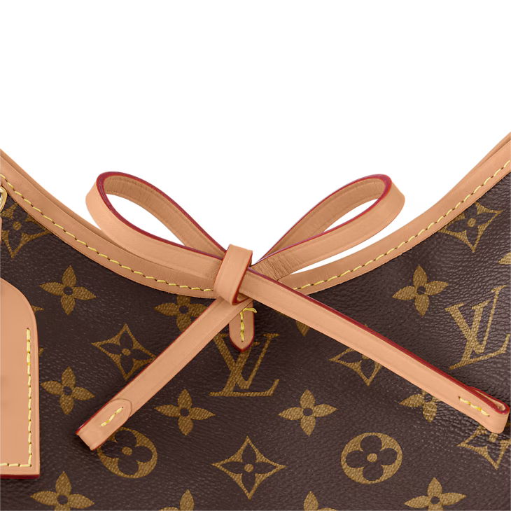LV CarryAll PM bag