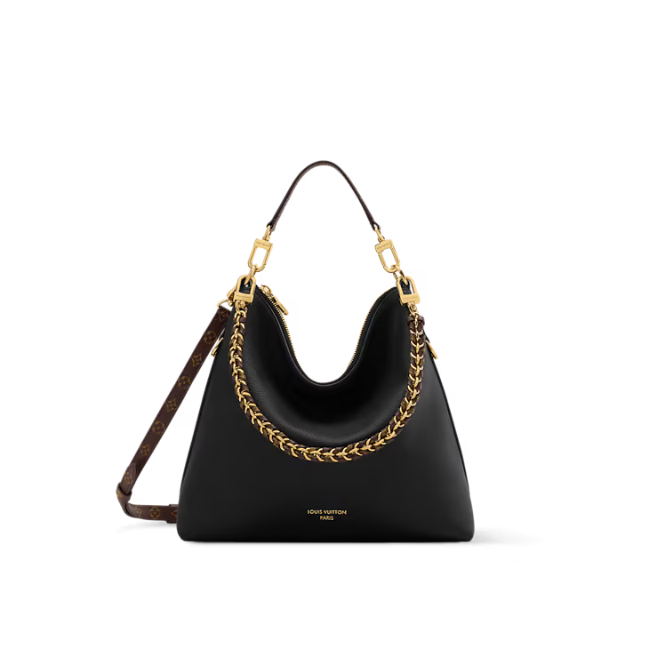LV Multipass bag