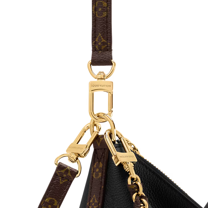 LV Multipass bag