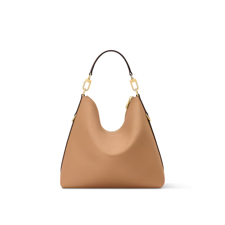 LV Multipass bag