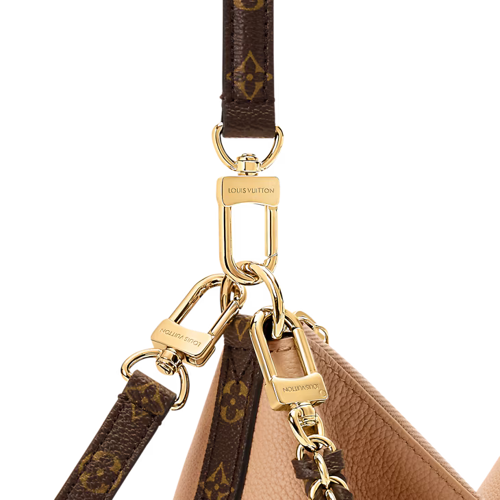 LV Multipass bag