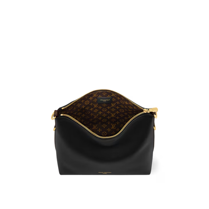 LV Multipass bag