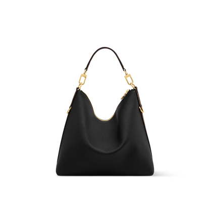 LV Multipass bag