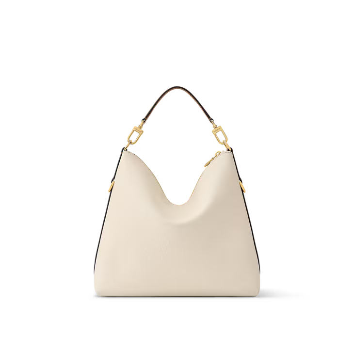 LV Multipass bag
