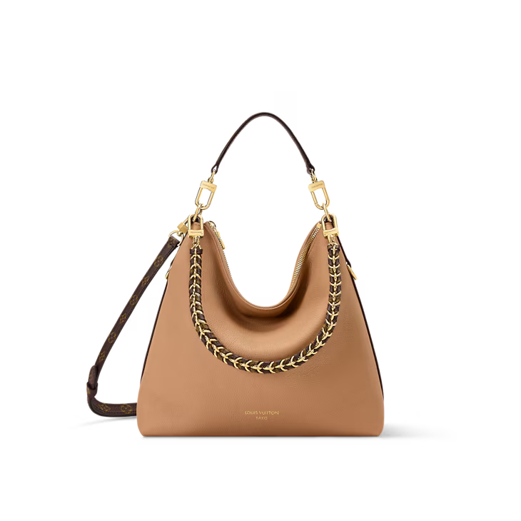 LV Multipass bag